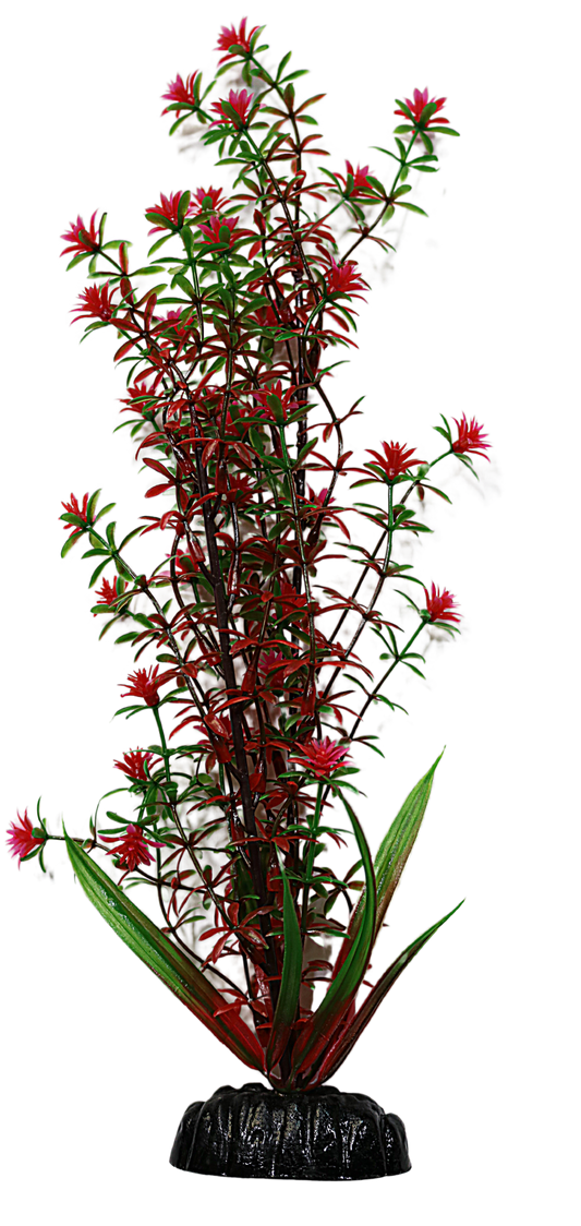 AL PLASTIC PLANT GREEN RED ROTALA 12IN.