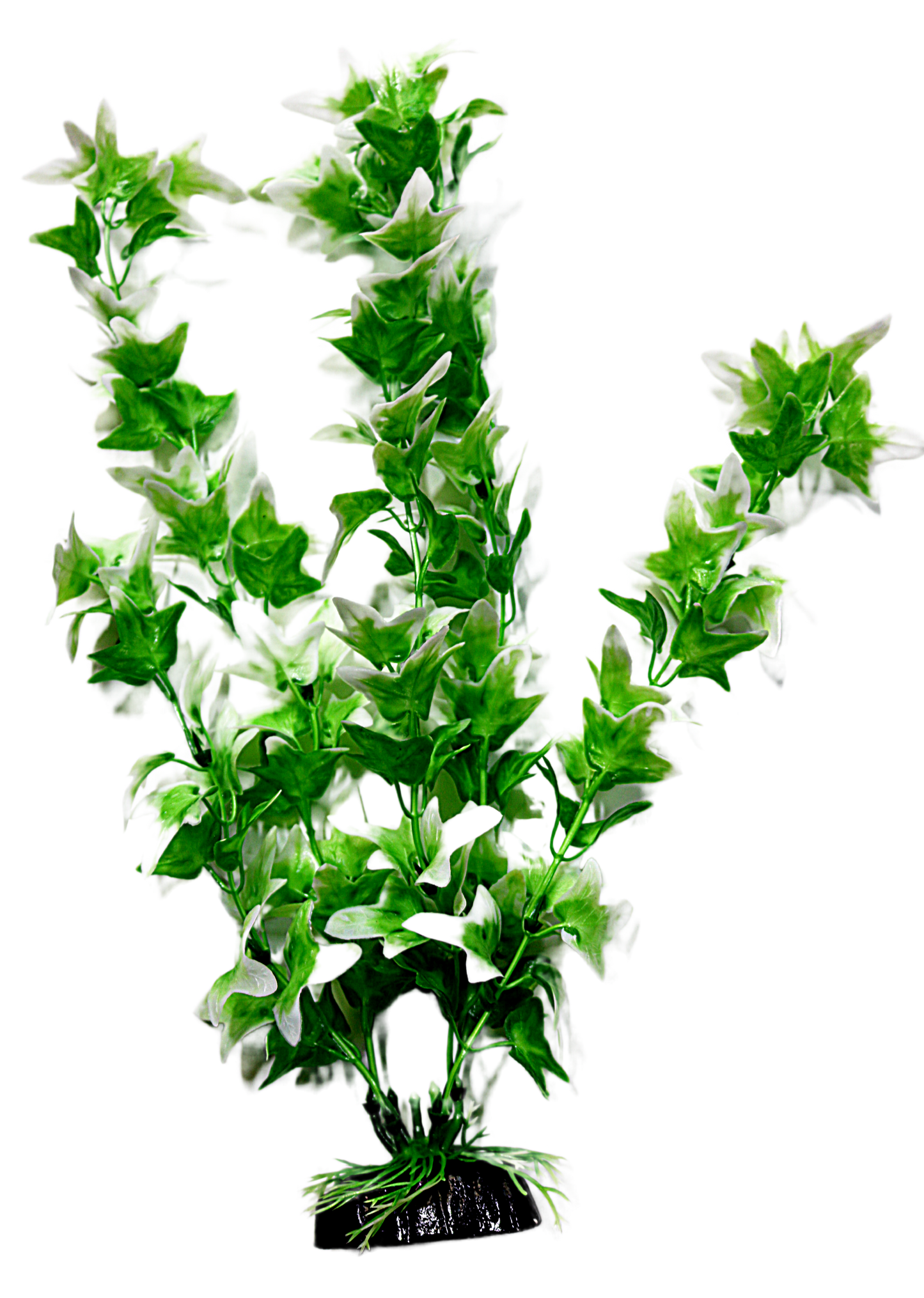 AL PLASTIC PLANT GREEN WHITE IVY 12IN.