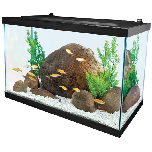 TETRA LED AQUARIUM KIT 20G