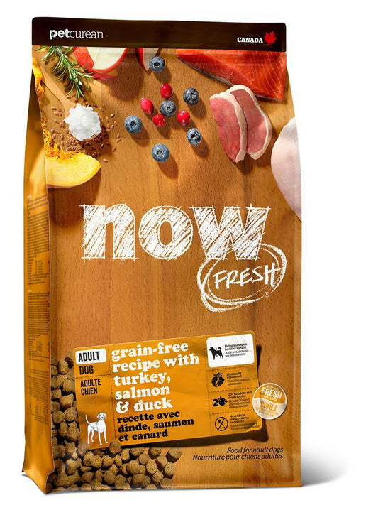 NOW DOG TURKEY, SALMON & DUCK ADULT 1.6KG