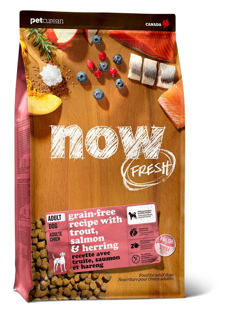 NOW DOG TROUT SALMON & HERRING  ADULT 1.6KG