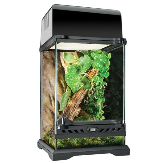 EXO TERRA NANO TALL TERRARIUM 8X8X12IN.