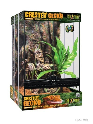 EXO TERRA  CRESTED GECKO HABITAT KIT -SMALL - 30 x 30 x 45CM