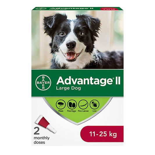 ADVANTAGE 2 F/LARGE DOG  11-25KG